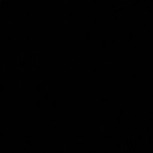 Meet your Posher, Addison